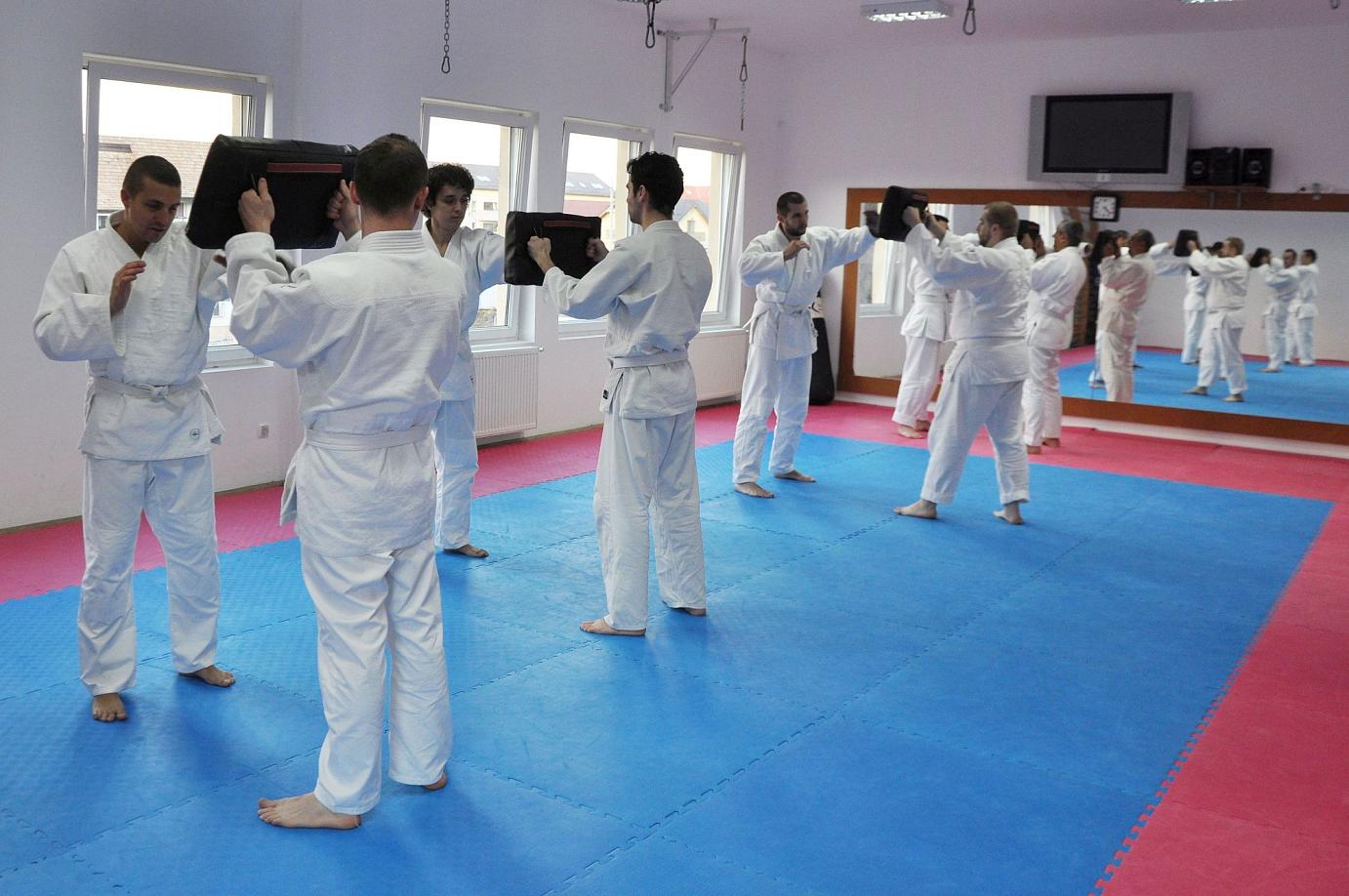 Curs Anual - anul 1 Începători