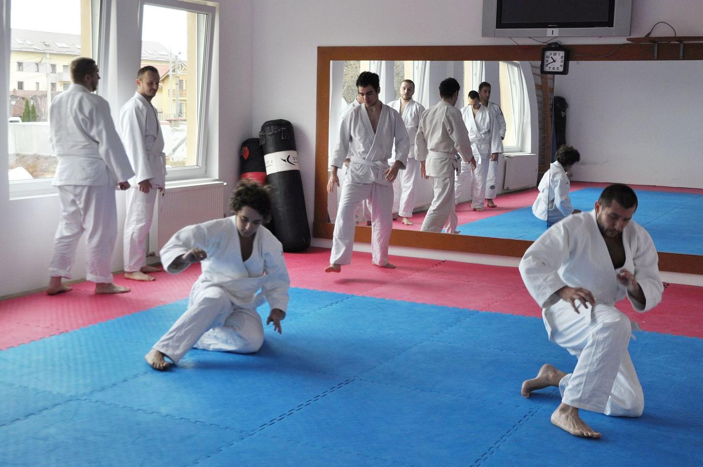 Curs Anual - anul 1 Începători