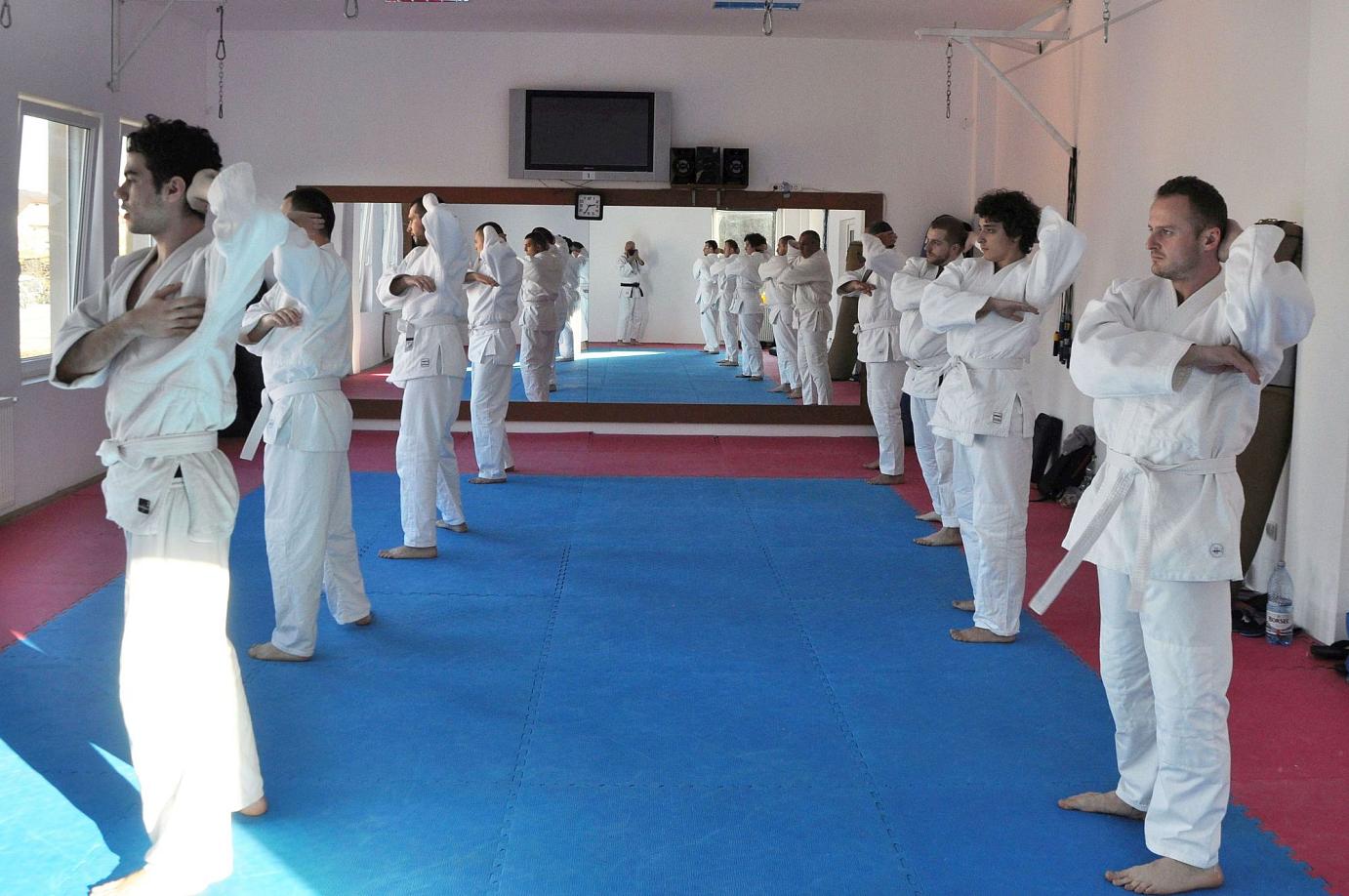 Curs Anual Începători - centura portocalie