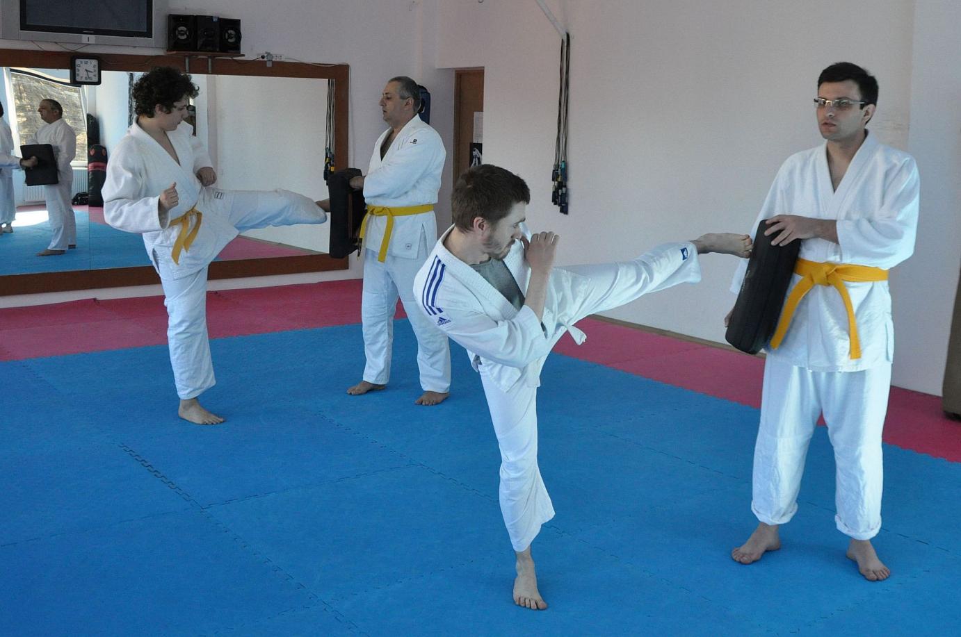 Curs Anual Intermediari - centura albastră și diploma de instructor